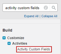 Search results for activity custom fields