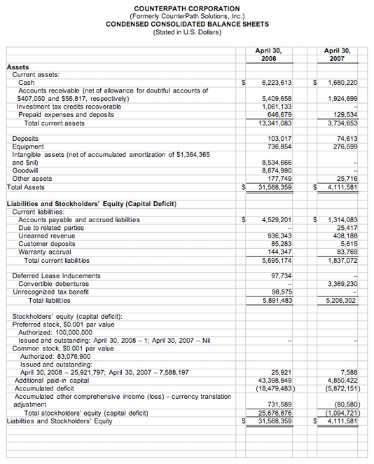 Fiscal 2008 Financial Results